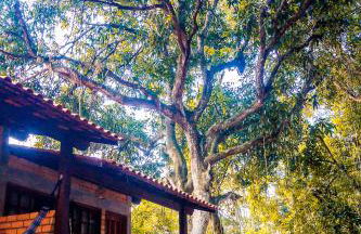 Chalé 03 Itaipu Vale da Colina Niterói - Photo 74