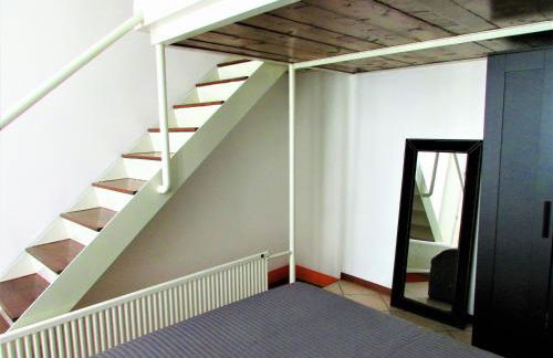 Casa della Musica - Foto 21