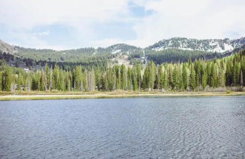 Brighton Ski Resort Hidden Falls 1 Bedroom Chalet Utah - Foto 38