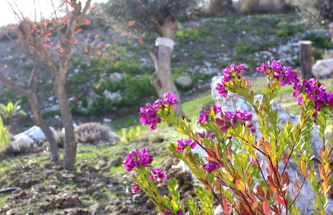 Agriturismo La Casa di Bacco - Foto 17