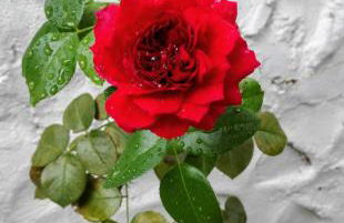 Ca Bellavista - Foto 64