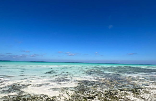 Aquamarina Hotel - Foto 67