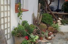 Can Juvimar - Foto 17