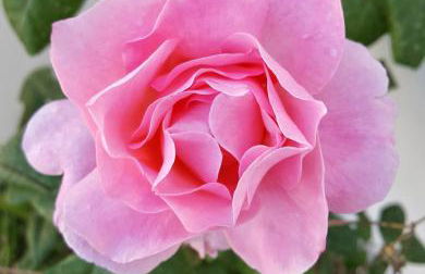 Casina Bardoscia Relais - Foto 61