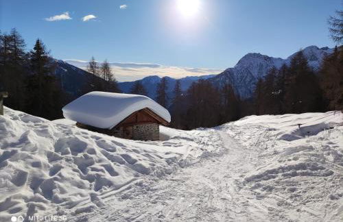 Residence Alice - Foto 7