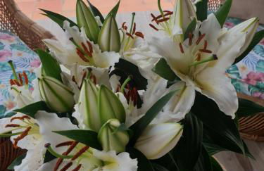 Sondela Self Catering - Foto 38