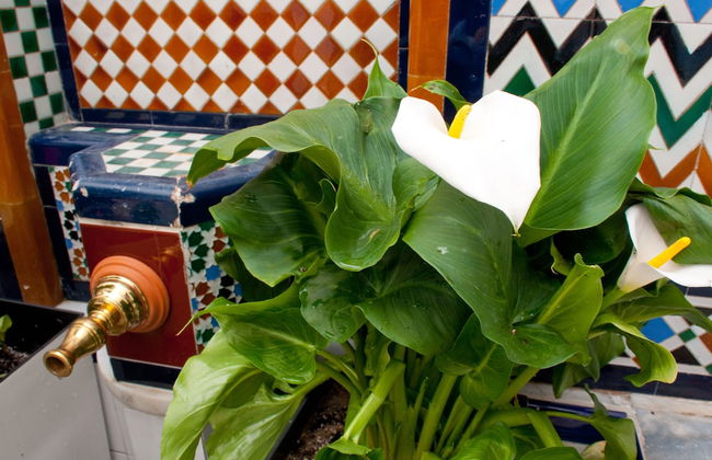 El Escondite de María - Foto 61