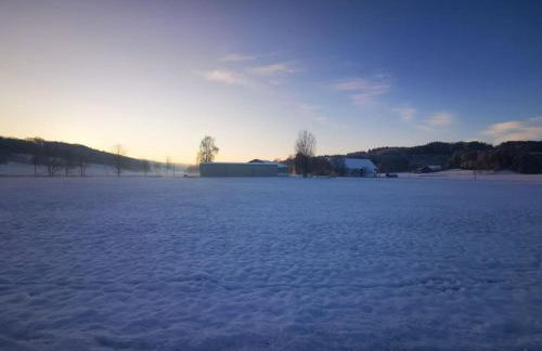 Holiday Appartement Markt Rettenbach - Foto 9