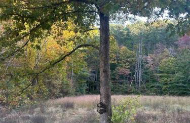 Hot Tub WiFi Firepit HazelBrook Haven - Foto 55