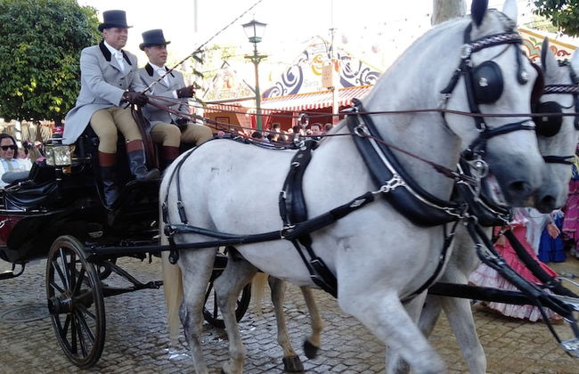 Villa Malyma Zahora - Beach Front Sea View - Foto 37