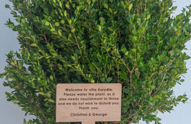 Villa Karydia with private pool - Foto 51