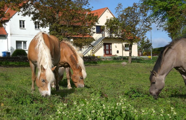 Snug Apartment in Kropelin Germany - Photo 59