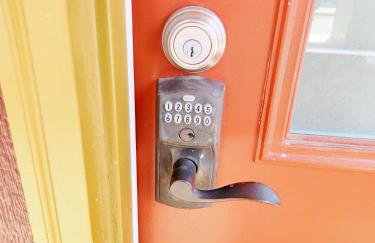 Orange Delite - Photo 20