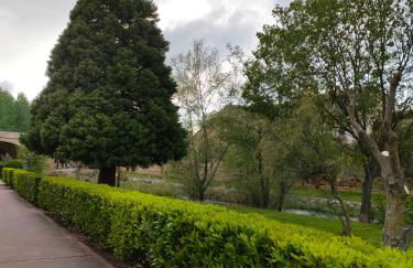 Apartamentos Antonia - Foto 10