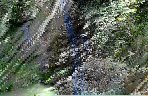 Casa caleton - Foto 57