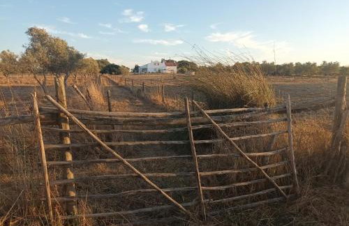 Villa das Oliveiras - Foto 25