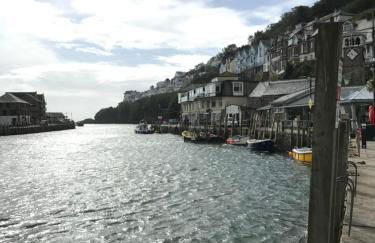 Sea Spirit - Sweeping Sea Views first floor spacious modern apartment in Looe- with FREE parking! - Foto 39