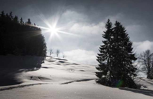 Kaiserhaus Harald Astner Ebbs Studio 1 - Foto 31