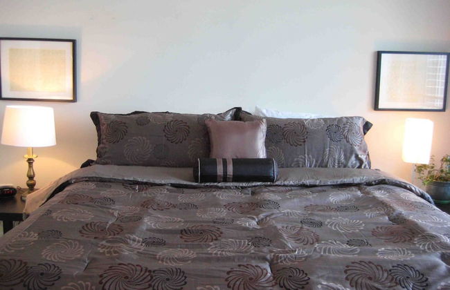 Chicago Downtown Condo - Michigan Ave Suite ID 14-15 - Foto 2