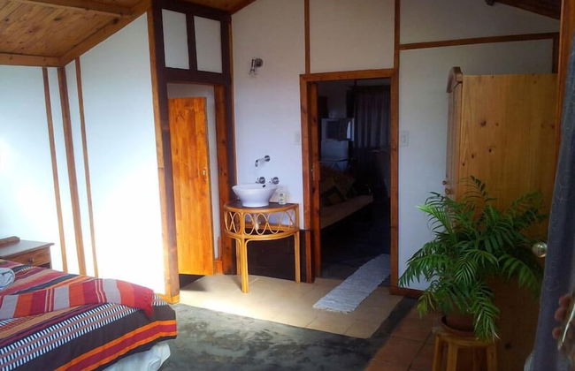 Woodland Gardens - Photo 28