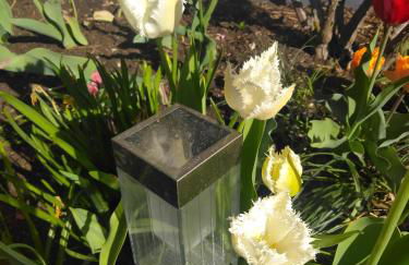 Schlafende Hexe - Foto 5