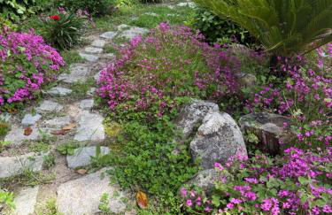 Espacioso e independiente apartamento - Foto 13