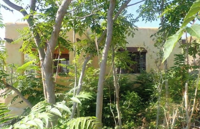 Dam Site Historic District Casitas - Photo 10