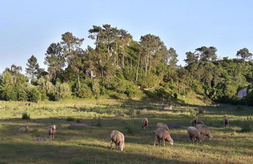 Quinta Da Torre - Óbidos Country House - Foto 33
