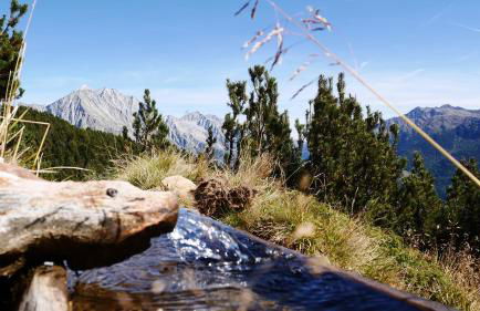 Apartments Nature Apis Landheim - Photo 42