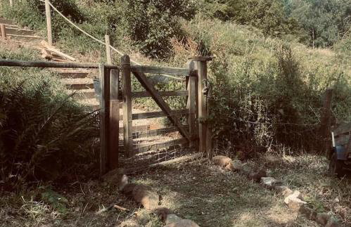 The Cabin at Shambala- now with sauna available to book! - Foto 14