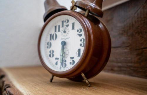 Ferienhaus-am-Walnussbaum - Foto 22