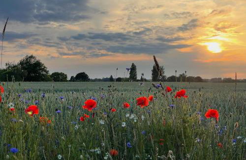 Sonnengelb - Fulgenhaus - Foto 15