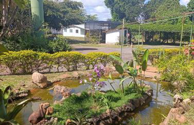 Ananda Multiverse Evolve 15' from the Botanical Garden - Foto 7