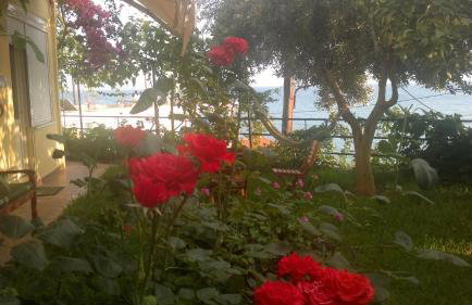 LEMONELIA, one big,4-5 people and one small apartment ,2-3 people - Foto 10