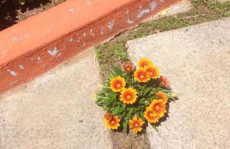 Holiday Home Finca Los Vinedos by Interhome - Foto 31