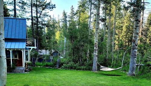 A Bear's Rest - Foto 2