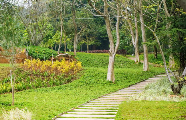 Tranquil Woods By Jade - Foto 25