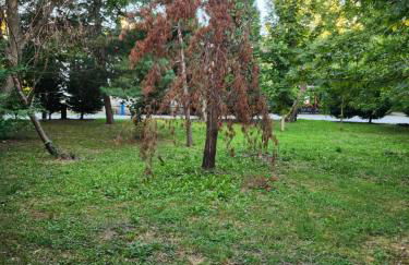 CRBN Di SJK28 - Foto 8