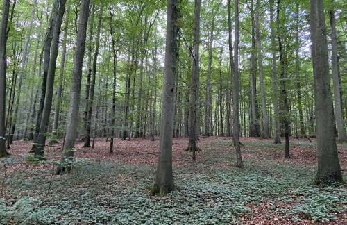 K 357 - Low budget Hotel in Ratekau bei Lübeck - Foto 44