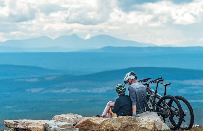 12 Person Holiday Home in Idre-by Traum - Photo 12