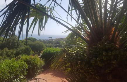 Terrazze al Mare (Urlaub an Sardiniens Westküste) - Foto 14