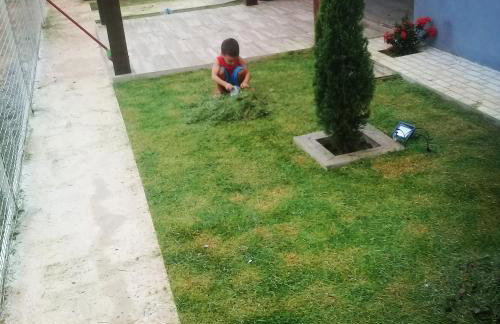 Hospedagem nascentes do jalapao - Photo 2