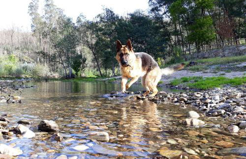 House with Shared Pool in Águeda, Mountain View - Foto 31