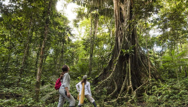 Amazon & Ucayali 4-Day Cruise - Foto 3