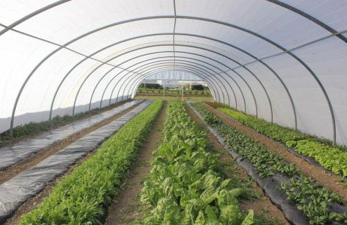 Magnifique villa de charme avec piscine - Foto 32