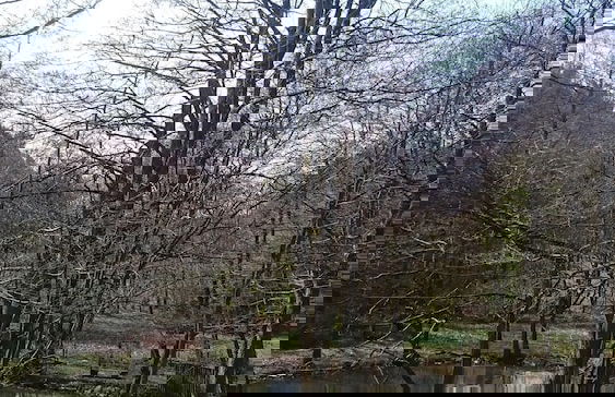 Ferienwohnung am Ententeich - Foto 10