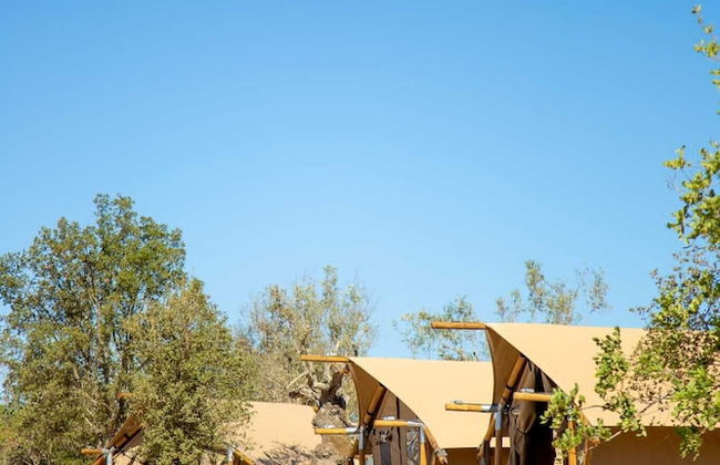 Oasis Surfcamp - Foto 11