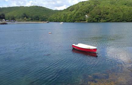 Looe, Cornwall, couples, families, quiet location, views, reliable Wi-Fi, modern cottage - Foto 59