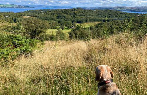 Heronlea Cottage - Photo 24