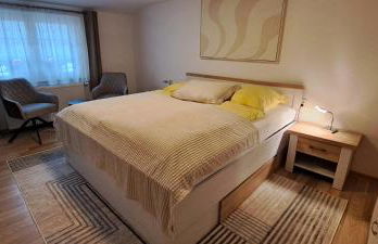 Moderne Ferienwohnung,Sauna im Haus, Parkplatz Hunde willkommen, nahe Schloss, Waldeisenbahn, Hermansbad, UNESCO Geopark, nahe polnischer Markt, Top Lage für Ausflugsziele zum Wandern oder Radfahren - Foto 8